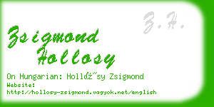 zsigmond hollosy business card